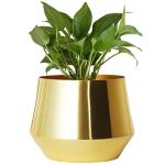 ecofynd 5 inches Alice Jr Metal Plant Pot, Decorative Modern Indoor Planter Flower Pots (Gold)