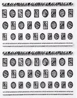 Shills Professional Zebra Design Nail Art Stickers