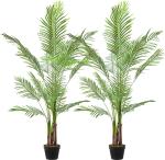 Zomoloco China Palm PlantPam PlantChina Palm/ Areca Palm- Indoor Decorative, natural Air Purifier Low-Maintenance Houseplant.[CF09]