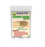 HARAYUG GOKHRU SMALL - GOKHARU CHOTA - TRIBULUS TERRESTRIS - CALTROPS 100 GM