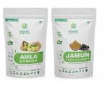 NISARG ORGANIC FARM Combo of Amla & Jamun Seed Powder I for Hair Growth, Face & Skin Care Diabetes, Stomach Health, Immunity, & Weight Loss I Edible Natural Made with Oldest Traditional Method - 500g x 2 Pack