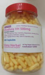 Rhodiola DH Herbal Supplement Capsules 600 Caps Jar - DoctorKC Herbal