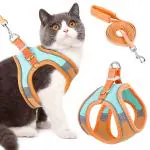 Qpets Cat Harness with 1.5m Leash, Cat Belt Adjustable Size Breathable Cat Vest Strap with Safety Reflective Strip, Cat Leash with Harness for Small Cat and Dog (M, Orange)