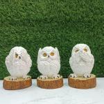 LETS CATCH UPP Resin Owl Statue Set of 3 | See No Evil, Hear No Evil, Speak No Evil Owl Figurines | 7 Inch | Home Office Decor, Vastu Figurine, Handcrafted Showpiece
