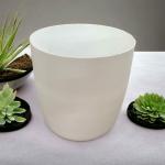 Tillage-Round Plastic Pots/Planters Size 8 inches for Indoor and Outdoor Plants (Pack of 5) (White)