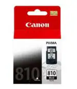 Canon Pg-810 Ink Cartridge, Standard (Black)