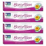 Allen's BoroAllen Antiseptic Cream (20g X 4)