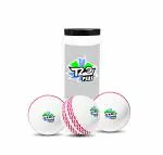 Jaspo T-20 Plus Practice Cricket Ball/Wind Balls (125-130 GMS) for - Indoor & Outdoor Sports (WHITE)