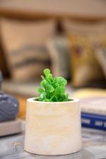 Chann Studio Decor Classic Concrete Planter | Handmade Decorative Planter | Indoor/Outdoor Planter |Home Decor | Succulent Planter and Flower Pot | Cement Planter - Almond White Marble Finish