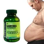 Omni Ayurveda Garcinia Cambogia Weight Loss Fat Burner Pure Natural Formula for Men and Women - 60 Capsules