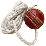Tima Red Leather Hanging Cricket Training Ball