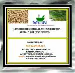 MGBN THE PATH FOR THE HEALTHIER LIFE WITH BEAUTY Bamboo, Dendrocalamus Strictus Seed - 5 g (250 Seeds)