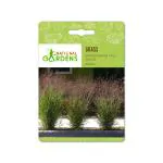 National Gardens Switchgrass Tall Ornamental Grass Seeds (20 Nos)