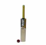 Prospo Multicolor Tennis Ball Cricket Bat and Tennis Ball ,Pack of 2