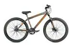 Cradiac Squad Grey Steel Single Speed Mountain Bike for Adults (Pack of 1)