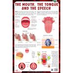 PEGASUS - The Mouth, Tongue & Speech - CHARTS
