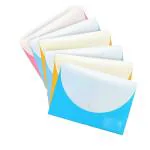 Shuban A4/Legal Side Opening Twin/Double Pocket Document File My Clear Bag Snap Button Closure with Label Pocket for Home, Work Office Paper Stationary Organization (6 Pcs -Assorted Color)