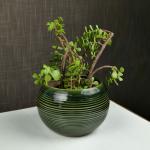 ARTYSTA BEAUTIFYING LIVES Green Ceramic Olive Ridged Painted Flower Pots for Garden