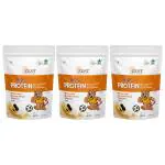 Zest Protein Powder for Kids Plant Based Protein, Gluten Free & Vegan (Cookies & Cream Flavour) - 400gms each (Pack of 3)