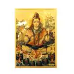 Hawai Lord Shiva Bholenath Mahadev Gold Plated Foil Poster 8x12 inch SFDI504_NOF