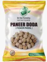 Paneer Doda | Paneer Phool for Diabetes (400 Quantity) | Paneer Dodi | Paneer Ka Phool