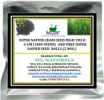 Mgbn The Path For The Healthier Life With Beauty Super Napier Grass Seed High Yield, 4 Gm, 1000 Seeds And Super Napier Seed Balls 2 Nos