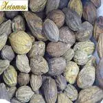 Xetomos Peeli Harad Harida Haritaki Terminalia Chebula 250g