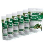 Garden Genie Money Plant Essential Organic Fertilizer, Heathier Greener and Shinier leaves for Indoor and Outdoor Gardening, Plant Growth Booster 2.7Kg (6 Packs of 450g)