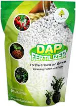 go garden All Purpose Dap Fertilizer For Home Plants gardening Manure 1 kg - granules