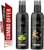 Desi Crew Amla and Wheatgerm Oil with Extra Hair Regrowth Anti Hair Fall Hair Oil 100 ml Each