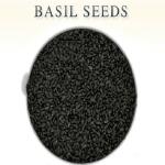 Tamransh Kotaliya Basil Seeds, Sabja Tree 400 Seeds