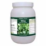 Herbal Hills Giloy Guduchi 700 Tablets