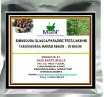 MGBN THE PATH FOR THE HEALTHIER LIFE WITH BEAUTY Simarouba Glauca, Paradise Tree, Lakshmi Taru, Sourga Maram Seeds - 25 Seeds