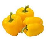 PARYAVARAAN Capsicum Yellow Seeds Hybrid Vegetable Seeds For Terrace Gardening pack of 10 seeds
