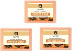 Ayurdaily Natural Handmade Premium Papaya Nourishing Body Soap (3 X 125 G)