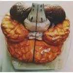 BNR EXPORTS Human Brain Model Life Size Shows Arteries, Dissects Into 8 Parts Anatomical Model (Premium Range) International Standard