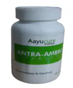 AAYUCURE AYURVEDA antra-ambro tablets