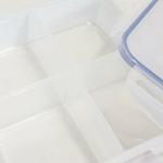 ZZ LAZYCOTTAGEPlastic Lunch Box Classics Rectangular Food Container for School & Office