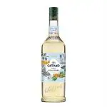 Euro Foods Ginger Syrup, 1 L l Syrup l juice syrup l flavoured Syrup l fruit syrup l Flavouring syrup l Dessert syrups l Beverage syrups l