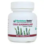 Navchetana Kendra Cissus Quadrangularis Tablets(60 tablets) |Helps to heal fractured bones, increase Bone Health