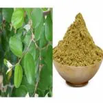 Vi Vethan Ilanthai ilai (INDIAN JUJUBE LEAF) Powder 100gm