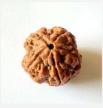 Feel Touch Mart Panchmukhi 5 Mukhi Nepal Genuine Rudraksha Panch Mukhi Beads with Lab Certified Pendant 15mm Brown Bead Five Face for Men & Women