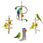 Sage Square Wooden Bird Toys Combo Bird Feeder Hanging Cage Toy For Budgie Cockatiel Parakeet Conure Macaw Parrot