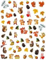 Shills Professional Squirrel Design Nail Sticker