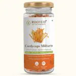 Cordyceps Militaris Mushroom (Dry Strands), 25gm, 10.5 Cordycepin