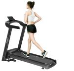Dolphy Black Alloy Steel Folding Treadmill