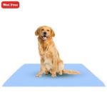 Wet Free Pet Dry Sheet, Reusable Training Pad, (Small Size, (50 cm x 70 cm)) 1Pc Sky Blue
