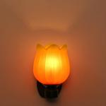 Afast Sconce New Design Decorative Wall Lamp ABC188####Home decore####Wall Lamp###Lamp cover