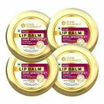 Khadi Organique Pure Natural& Herbal Wine Grape Fruit Lip Balm for Dry and Chapped Lips | Soft & Smooth Lips | Khadi Lip Balm for Women & Men | Pack of 4