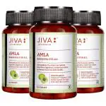 Jiva Amla Tablet 120 Tablet (Pack of 3)